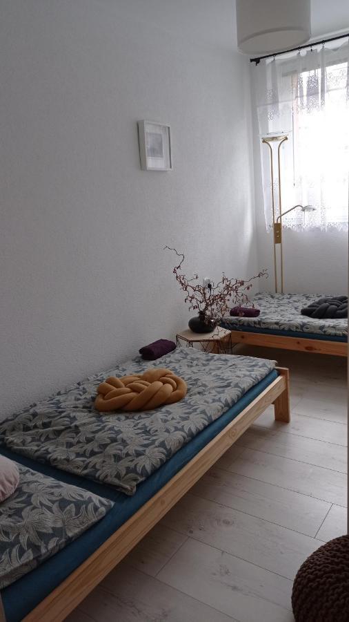 Babcares Apa Góry Izerskie Mirsk Exterior foto