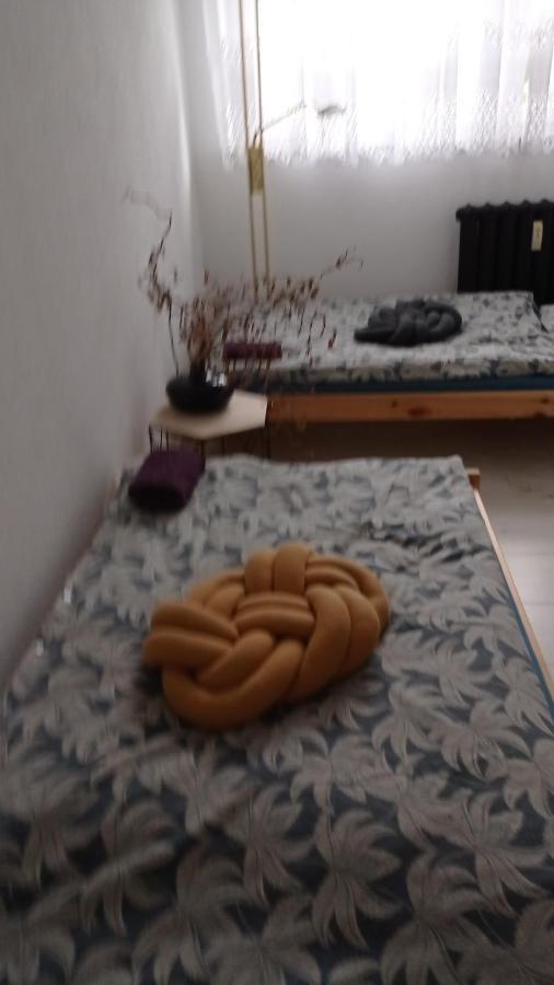 Babcares Apa Góry Izerskie Mirsk Exterior foto