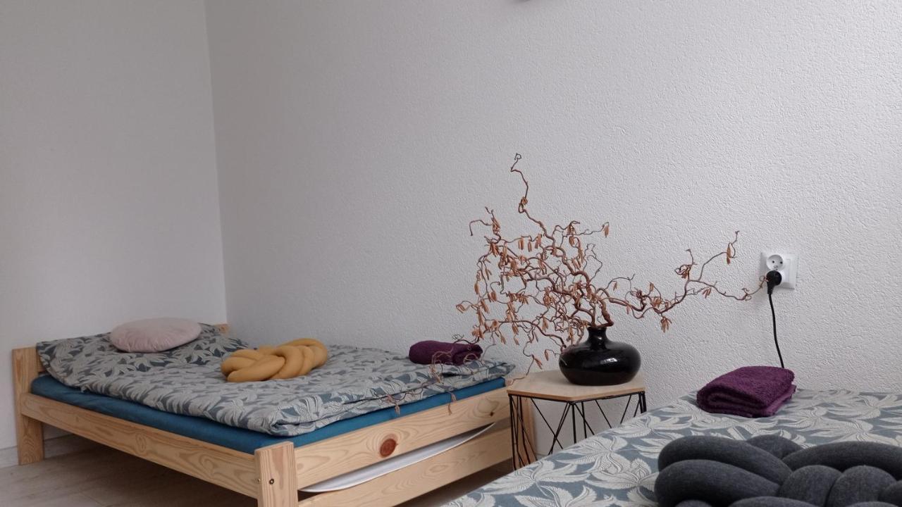 Babcares Apa Góry Izerskie Mirsk Exterior foto